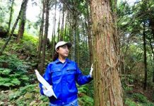 技能検定試験料、林業・シャッター検定は23歳未満減額 厚労省告示改正